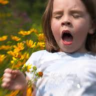 Лечение аллергического насморка Аллергический насморк